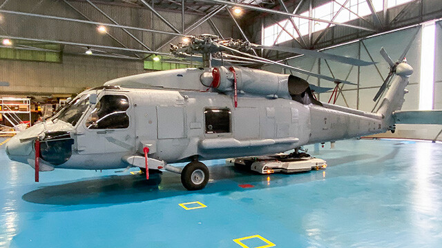 Seahawk-from-behind-GenFill-640